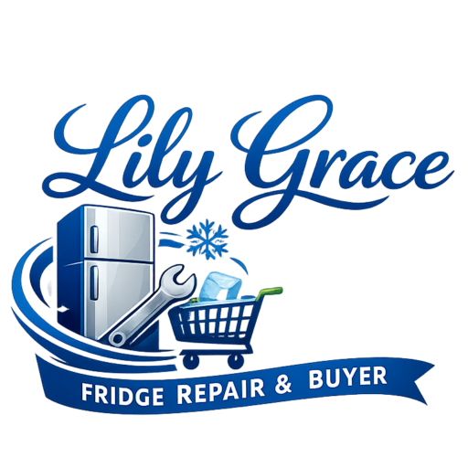 lily grace refrigerators